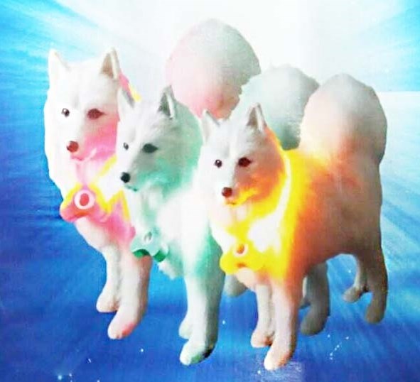 Mavi Renk Neon Led Işıklı Kedi Köpek Kolyesi (18,5 cm)