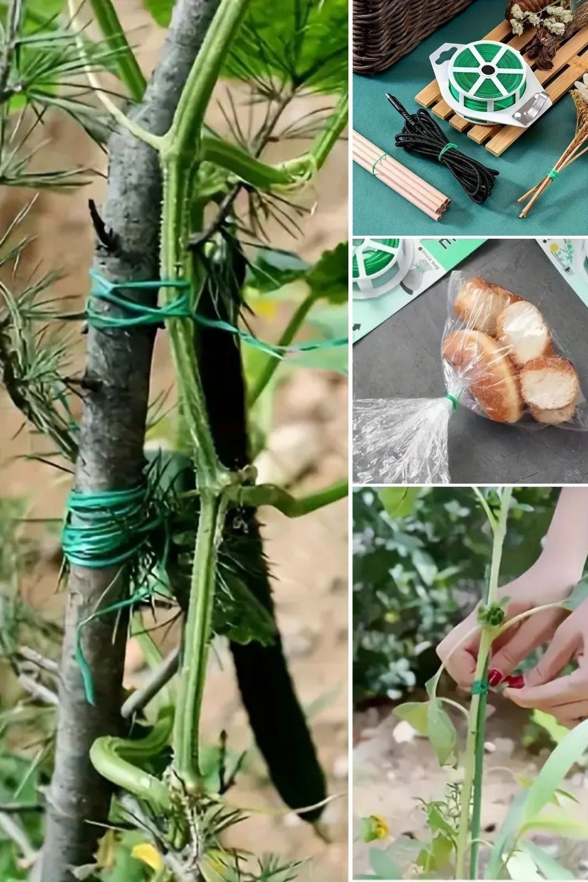 50 Metre Kendiliğinden Kesici Bıçaklı Bitki Saksı Kablo Sabitleme Teli