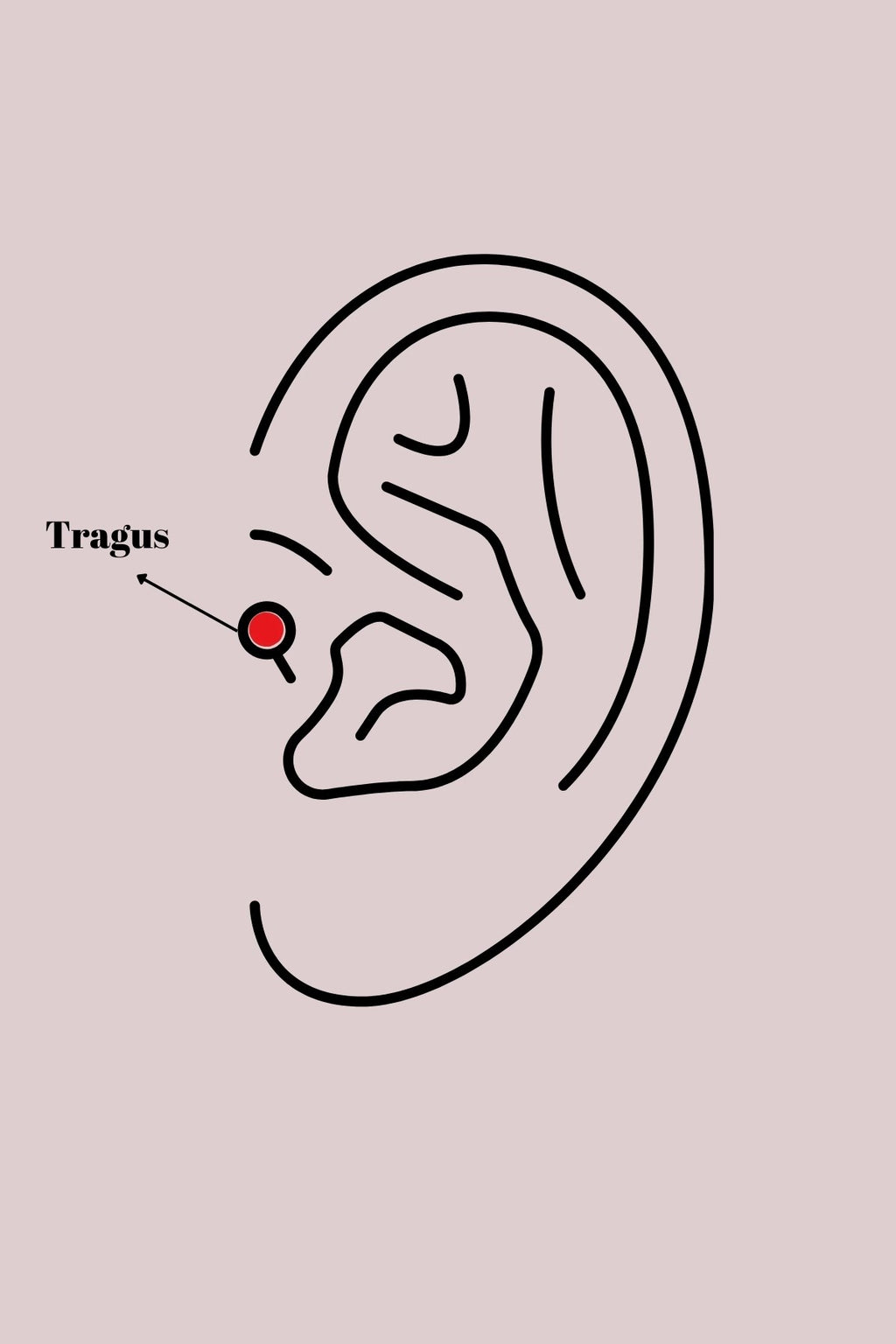 Mey İthalat® 316L Çelik Gümüş Renk Mavi Zirkon Taşlı Tragus Piercing
