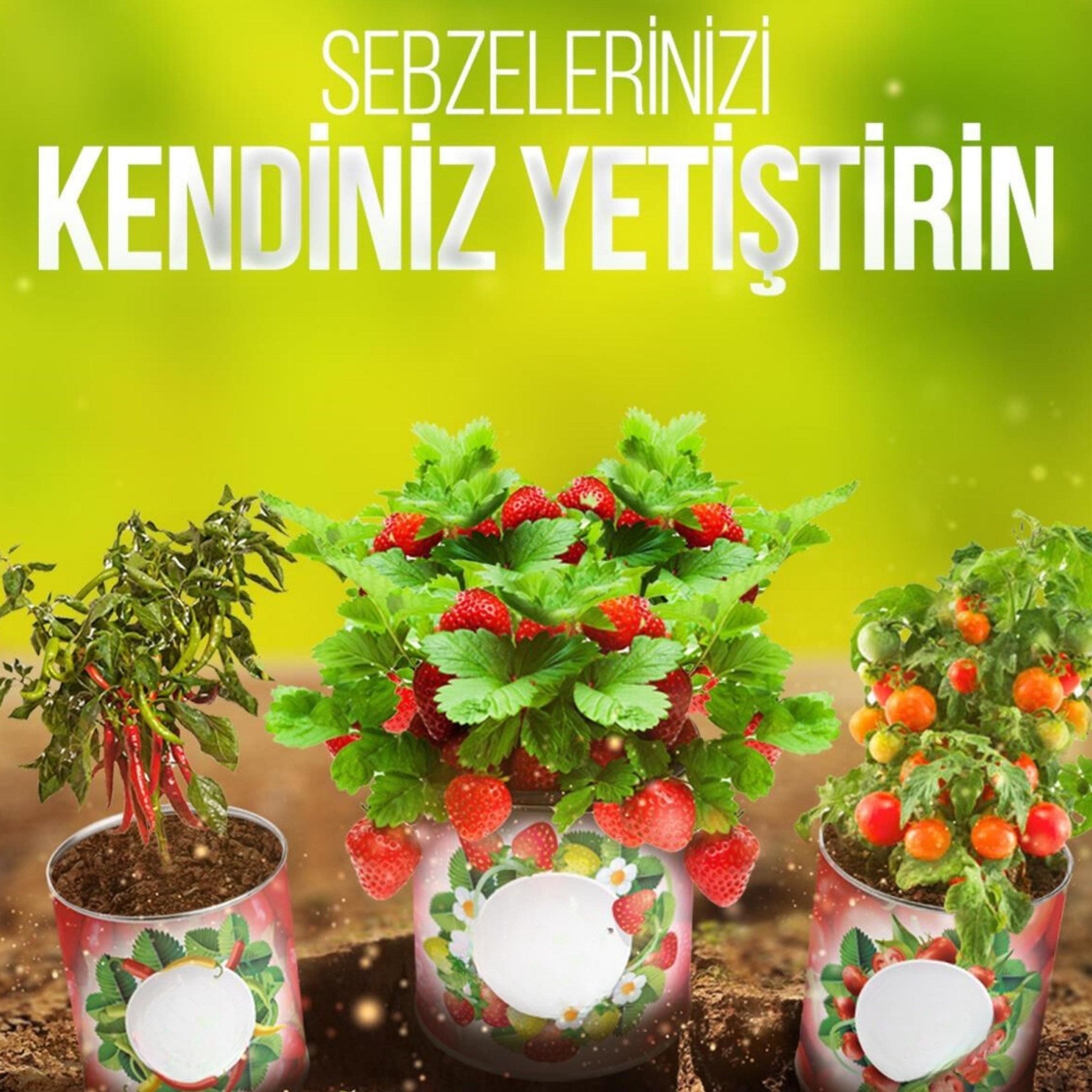 Konserve Bahçem Evde Konservede Fındık Turp Yetiştirme Kiti