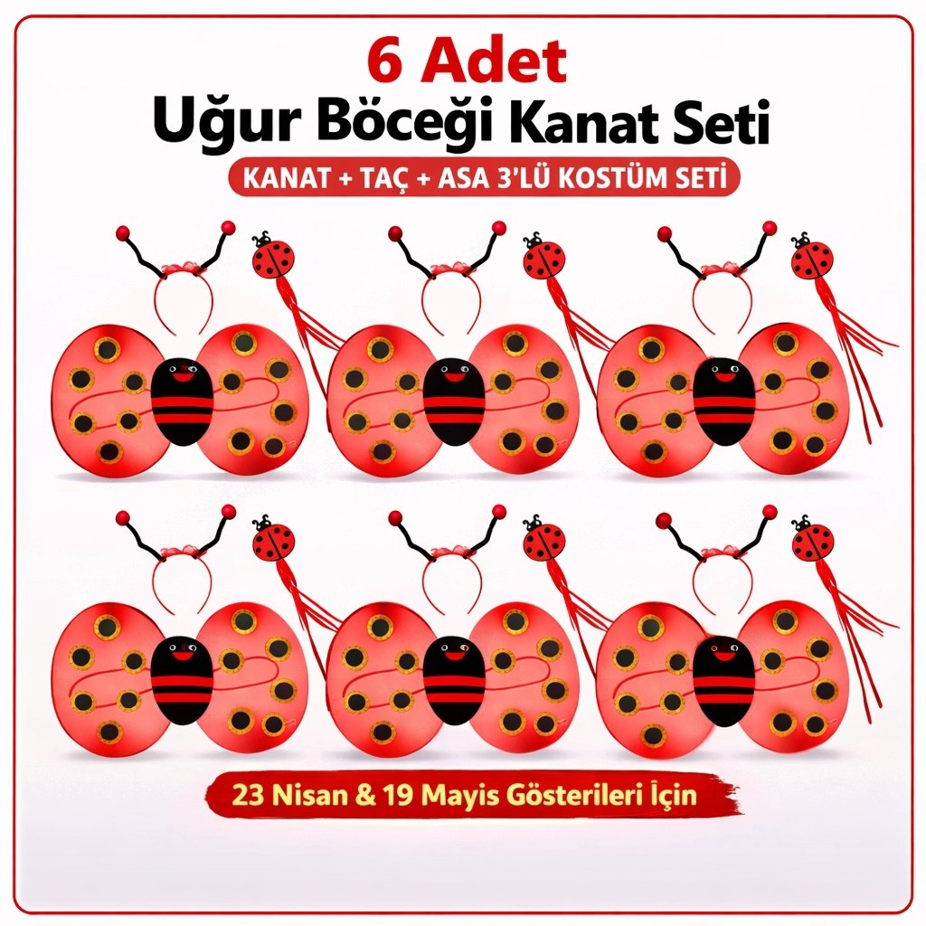 Mey İthalat® 6&amp;#39;lı Uğur Böceği Kostüm Seti – Kanat Taç Asa