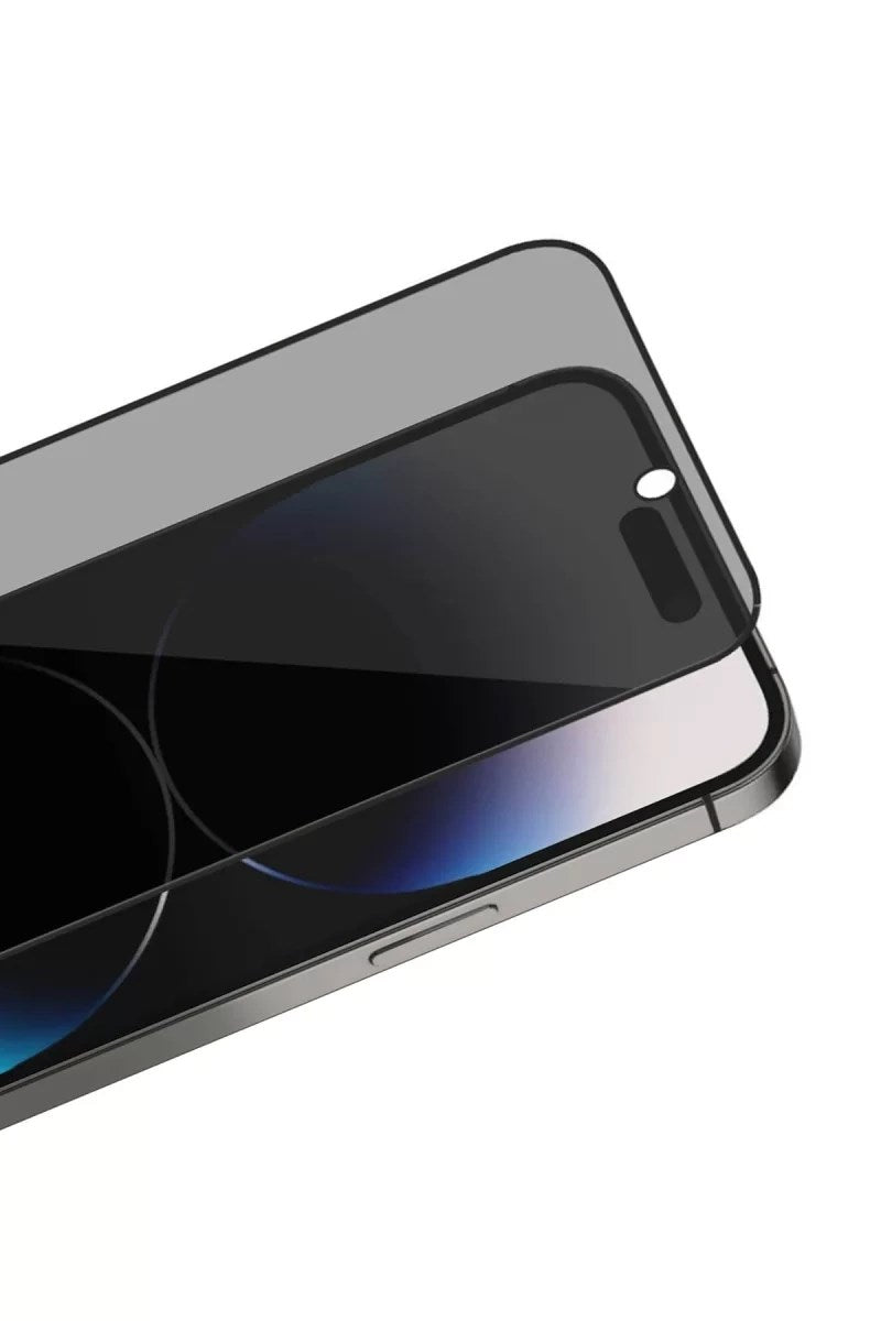 Mey İthalat® iPhone 17 Pro Max Bilvis 3X AR Hayalet Cam Ekran Koruyucu - Siyah